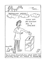 Spectator