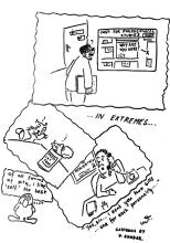 Spectator
