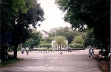 A photograph of the Gajendra Circle