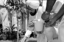 Mr. Giani Zail Singh plants a sapling at IIT Madras, 1983