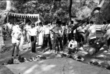 Students gathered around the clay modelling scene during Mardi Gras (1983)