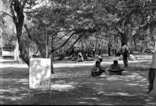 A view of participants in Shanti Kunj at Mardi Gras, 1983