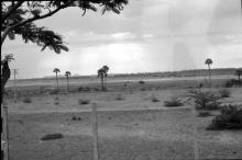 A photograph of a landscape on the way to Mahabalipuram circa 1987