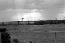 A photograph of a landscape on the way to Mahabalipuram circa 1987