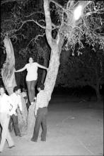 Students hanging out under a tree at Mardi Gras '83