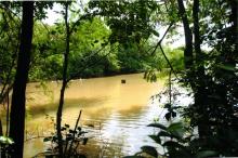 An image of the campus lake, IIT Madras