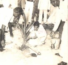Mrs. Shanti Sengupto plants a tree during the inauguration of Alakananda Hostel in 1966