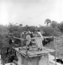 A priest performs kumbhabhishekam of Jalakanteshwara Temple, 1965