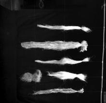 Natural fibres used at the FRP Centre