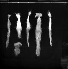 Natural fibres used at the FRP Centre