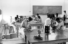 Students in a laboratory