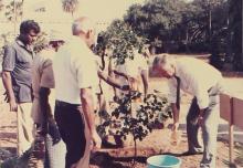 A sapling being planted at IIT Madras