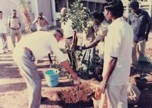 A sapling being planted at IIT Madras