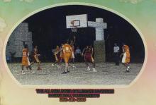 A photograph of the All India Intercollegiate Invitation Basketball Tournament, 2005