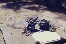 A photograph of sculptures at Bharat Utsav, 1999