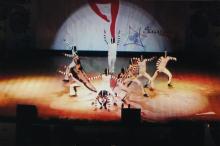 A dance performance during Choreo Nite at Saarang 2005