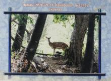The back album cover of the MoU between IIT Madras and Kyushu University, 2006