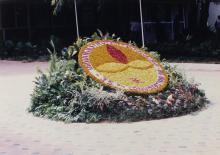 A floral version of the IIT Madras logo at the Student Activities Centre, 35th Convocation, 1998
